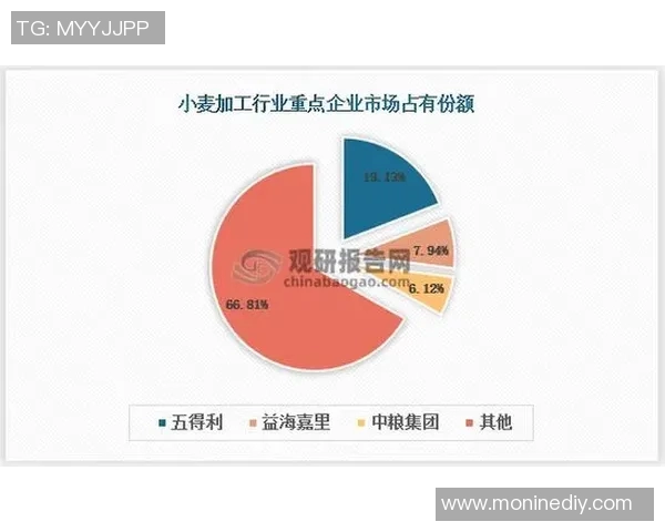 倪永康的政治生涯与影响力分析及其在中国现代史上的重要地位探讨