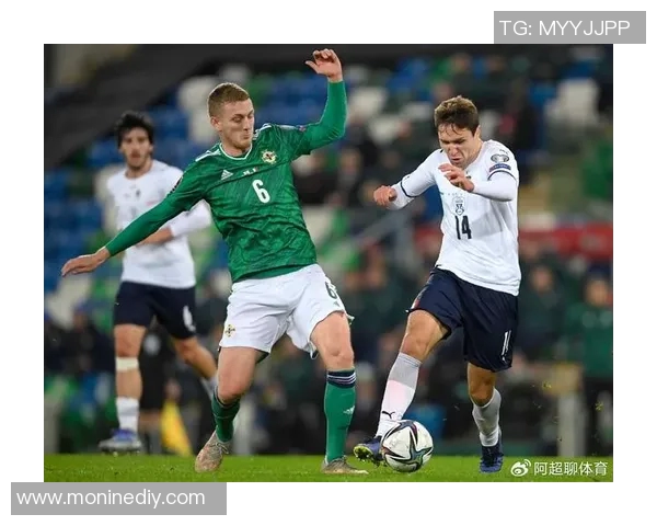 爱尔兰与芬兰激战正酣比赛直播全程回顾与精彩瞬间分析