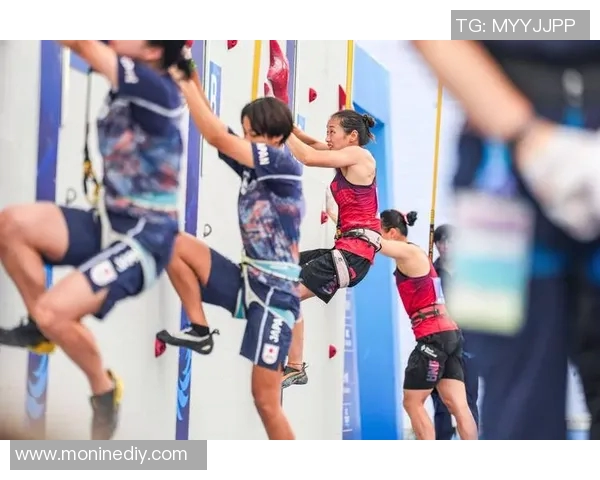 成都攀岩队的快攻策略与训练方法解析助力攀岩运动发展