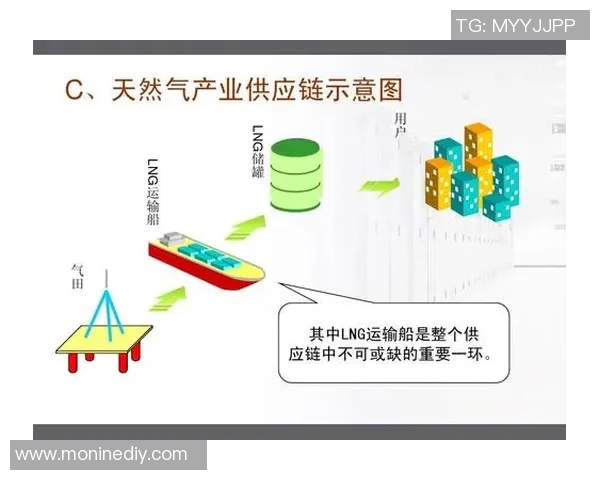 数据分析揭示LNG市场配合表现及其对能源供应链的影响探讨