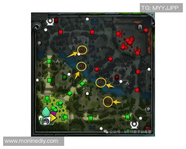 DOTA2新手必看：全面解析游戏机制与技巧的入门指南