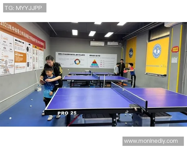 杨芳独家分享乒乓球技巧与心得助你提升球技的秘密之道